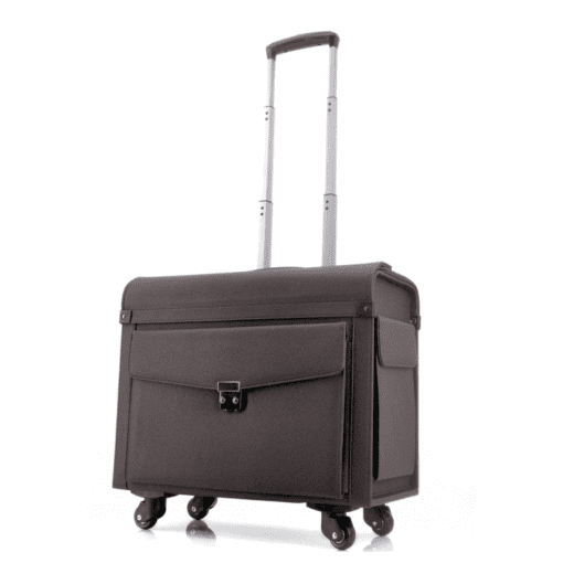 GOGO Pilot Case 18-2024